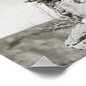 Crow Indians On Cliff, 1905.  foto Poster (Hoek)