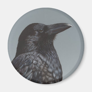 Crow Magneet