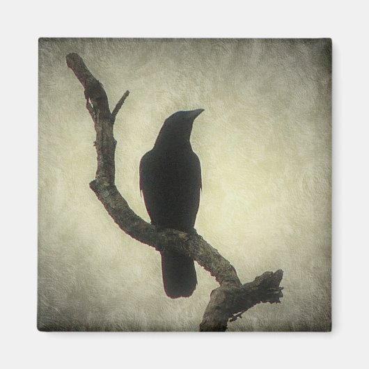 Crow Magneet (Voorkant)