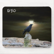 Crow on Driftwood Beach get Moon Tan
