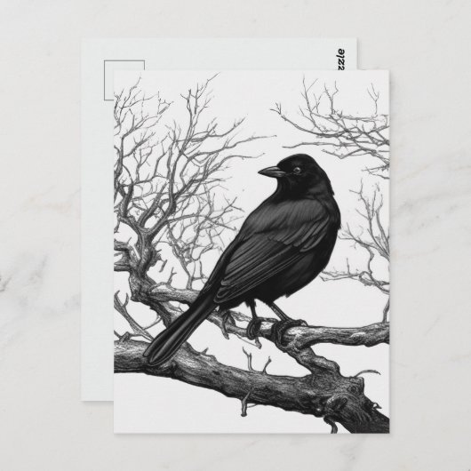 Crow Perched on Bare Winter Branches Briefkaart (Voorkant / Achterkant)