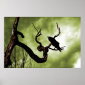Crow Perching On A Dead Tree Branch Poster (Devant)