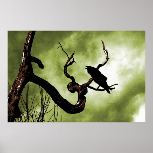 Crow Perching On A Dead Tree Branch Poster (Devant)