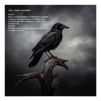 Crow Perfect Poster