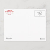 Crow Post Card Briefkaart (Achterkant)