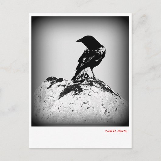 Crow Post Card Briefkaart (Voorkant)