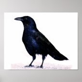 Crow Poster (Voorkant)