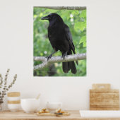 Crow Poster (Keuken)