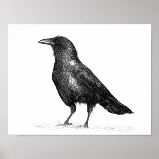 Crow Poster (Voorkant)