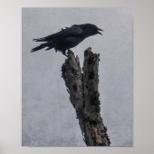 Crow Poster (Voorkant)