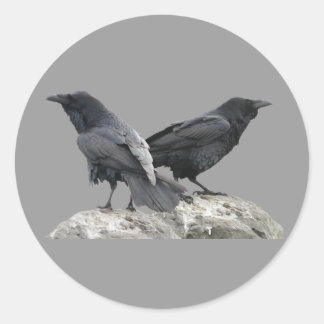 Crow Raven Ronde Sticker