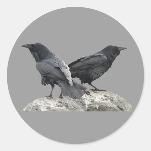 Crow Raven Ronde Sticker (Voorkant)