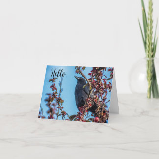 Crow Says Hello  Bedankkaart