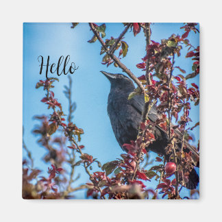 Crow Says Hello  Magneet