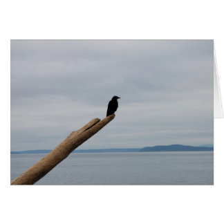 Crow Sentinel