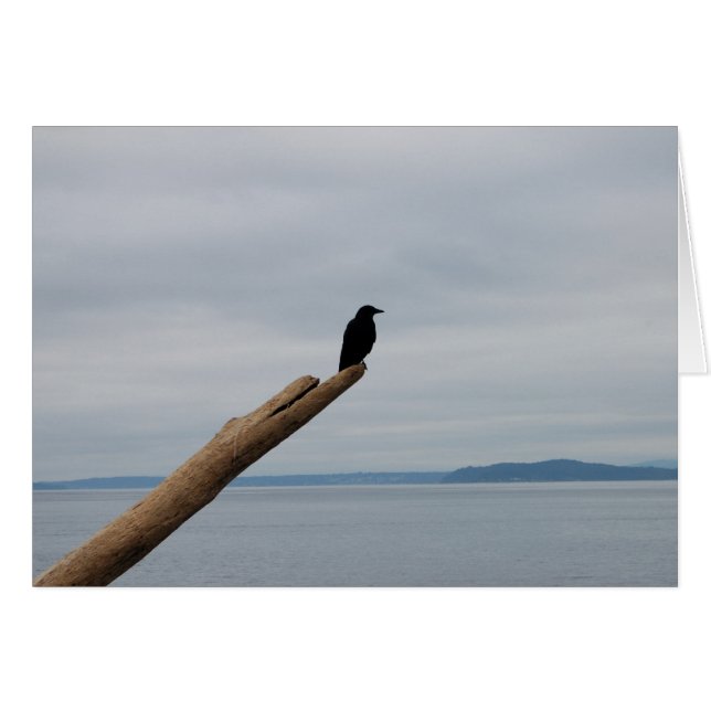 Crow Sentinel (Devant horizontal)