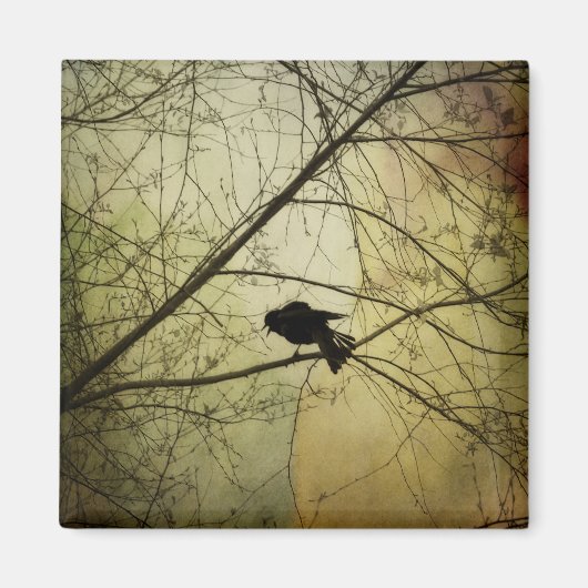 Crow Speak Magneet (Voorkant)