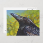 Crow Spring Sky Briefkaart (Voorkant / Achterkant)