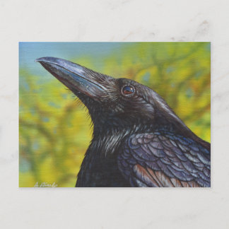 Crow Spring Sky Briefkaart
