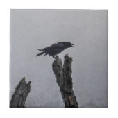 Crow Tegeltje (Voorkant)