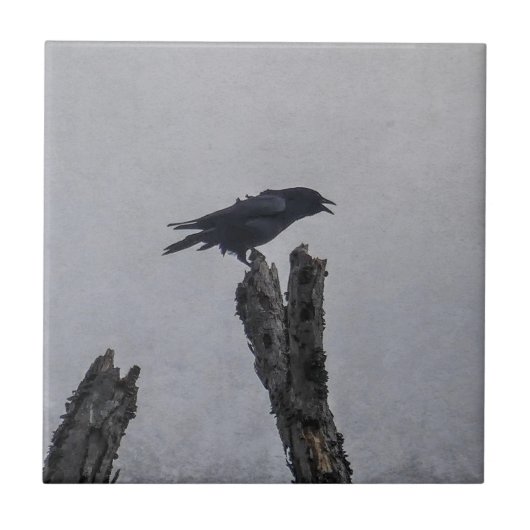 Crow Tegeltje (Voorkant)