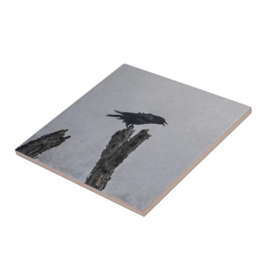 Crow Tegeltje (Zijkant)