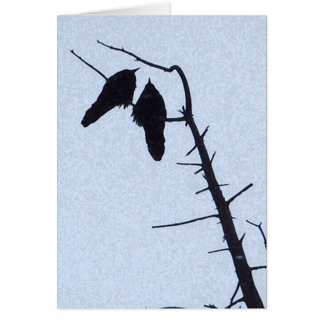 Crow Watch (Voorkant)