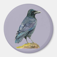 Crow Waterverf Painting