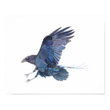 Crow Waterverf Painting