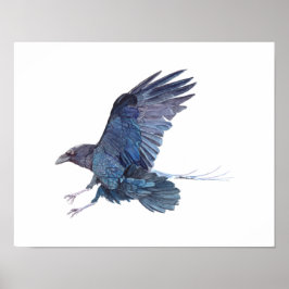 Crow Waterverf Painting Poster