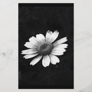 Crown Daisy Briefpapier