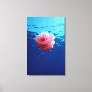 Crown Jellyfish Canvas Afdruk