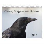 Crows, Magpies et Ravens Calendrier 2017 (Protection)