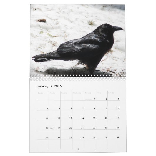 Crows, Magpies et Ravens Calendrier 2017 (Jan 2026)