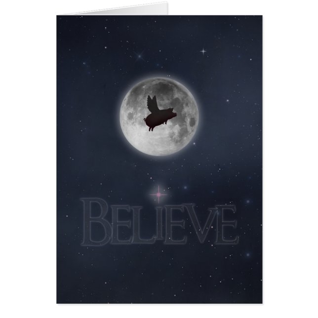 Croyer-Cochon Volant Nocturne (Devant)