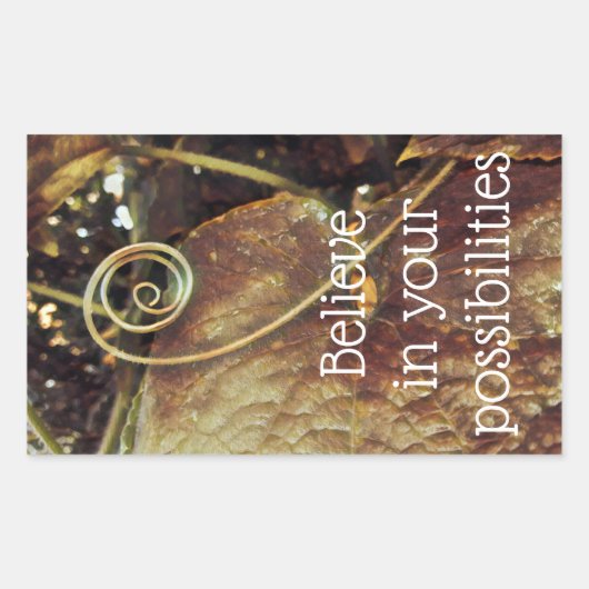 Croyez en vos possibilités Stickers (Devant)