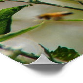 Croyez en votre papillon Motivational Poster (Coin)