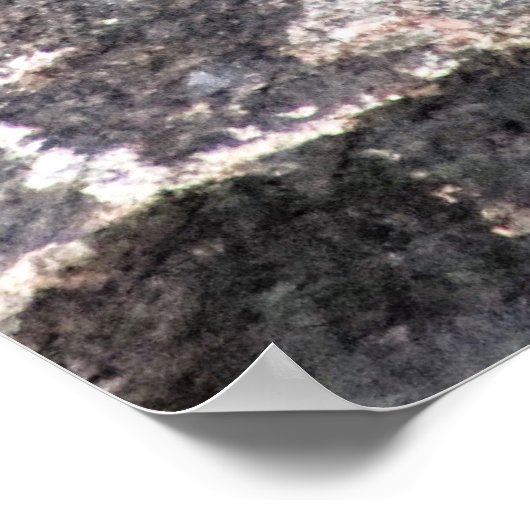 Croyez en votre propre affiche (Coin)