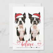 Croyez Santa Hat Pet Photo Carte de vacances (Devant)