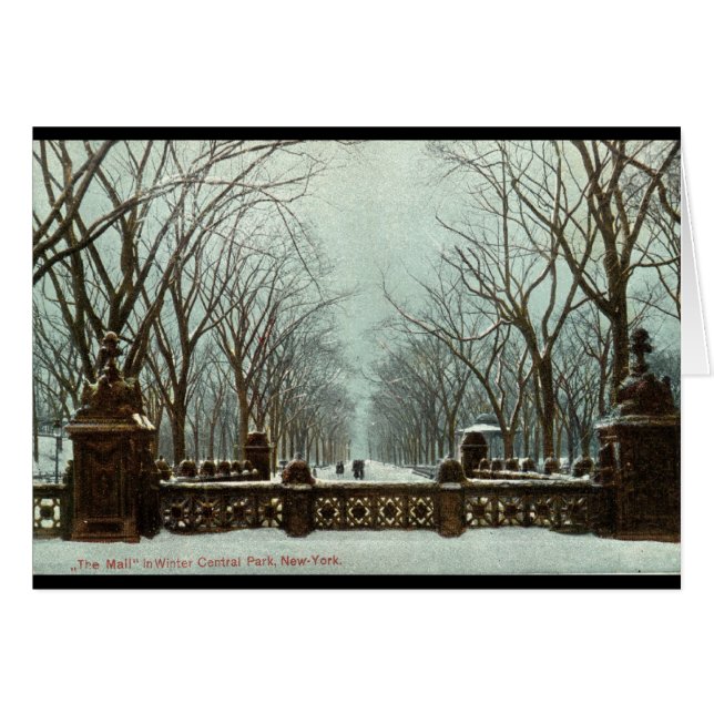Cru c1910 du Central Park NY d'hiver (Devant horizontal)
