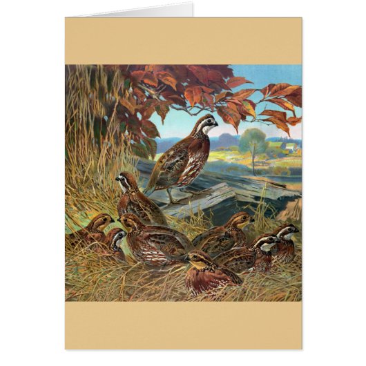 Cru - cailles en automne, (Devant)