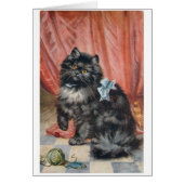 Cru - chat et fil, (Devant)