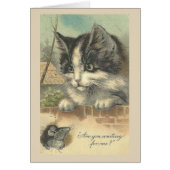 Cru - chat et souris, (Devant)