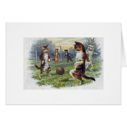 Cru - chats jouant au football, (Devant horizontal)