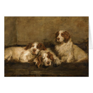 Cru - chiens d'épagneul de Clumber,