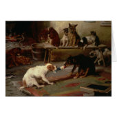 Cru - conflit de jeu de chiens, (Devant horizontal)