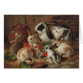 Cru - famille de lapin mangeant des fleurs, (Devant horizontal)