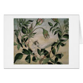 Cru - fée dans un hamac, (Devant horizontal)