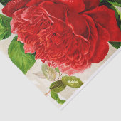 Cru géant 10" de rose rouge X 15" papier de soie (Détail)