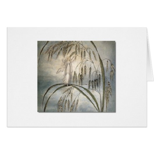 Cru - herbe de fée et de mer (Devant horizontal)